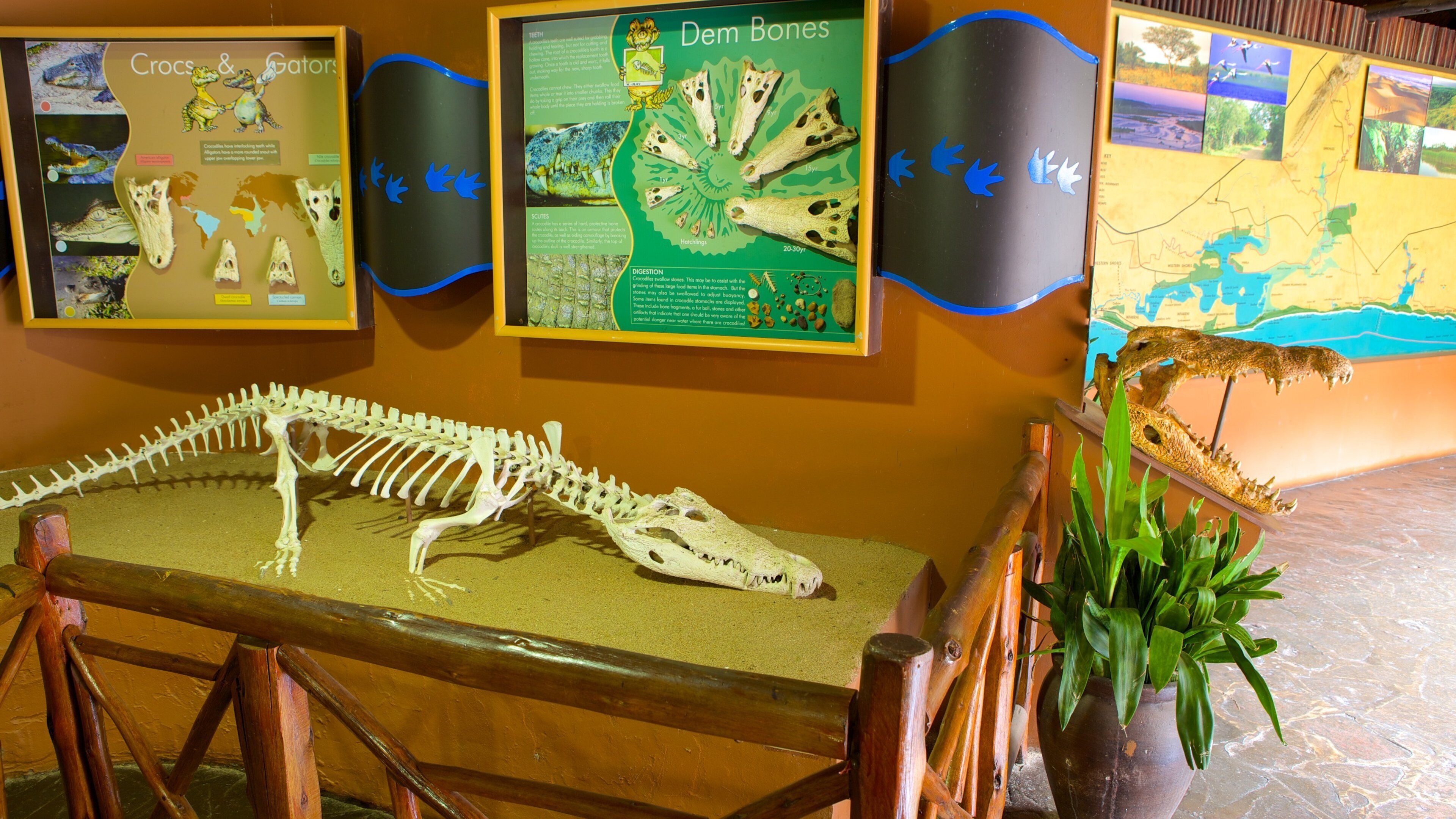 Kwazulu-Natal featuring interior views