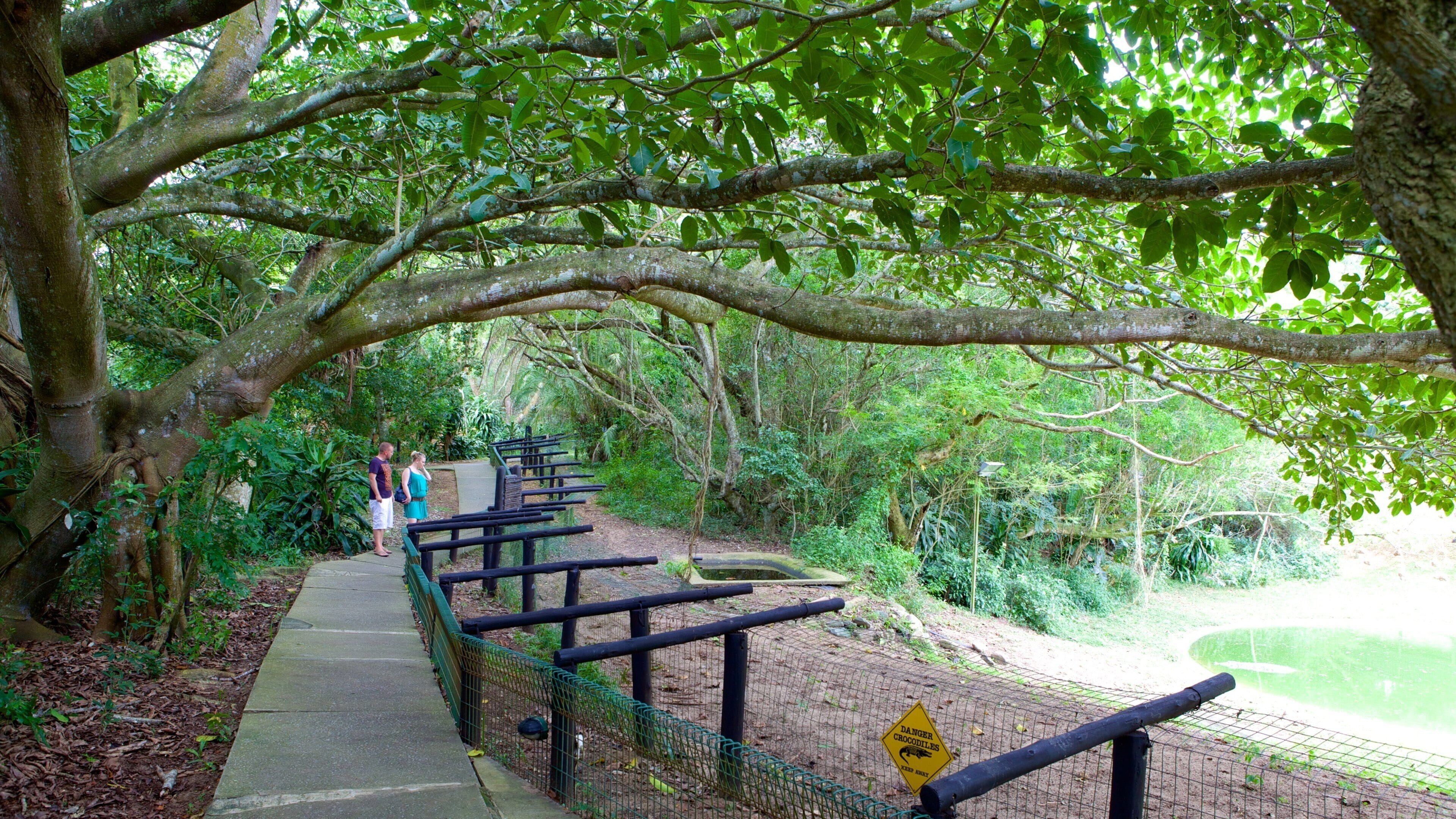 St Lucia Crocodile Centre showing zoo animals and a park