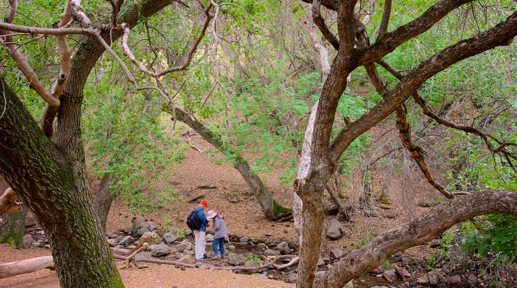 Bear Gulch Trail showing a garden as well as a couple