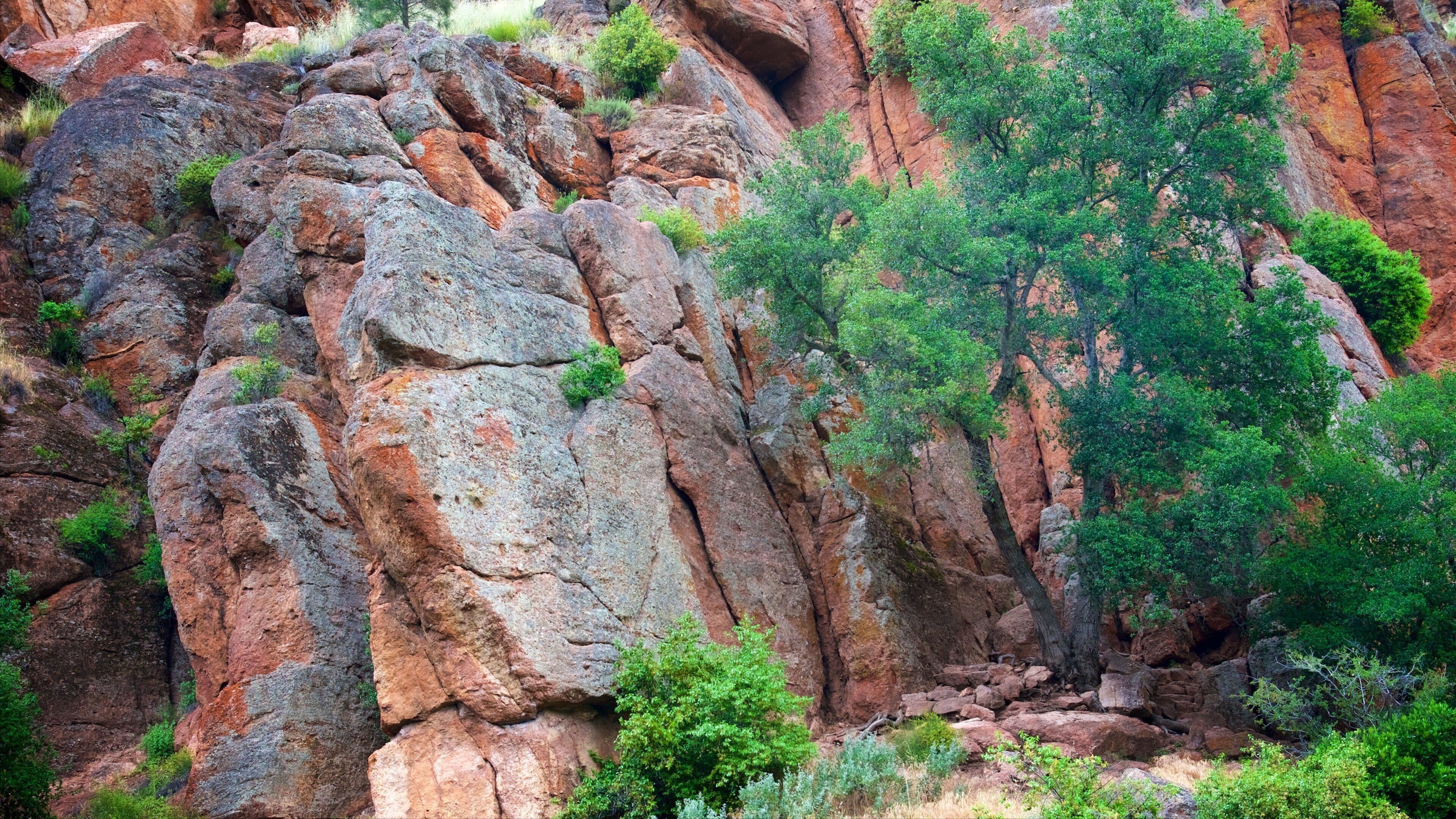 Bear Gulch Trail featuring a gorge or canyon