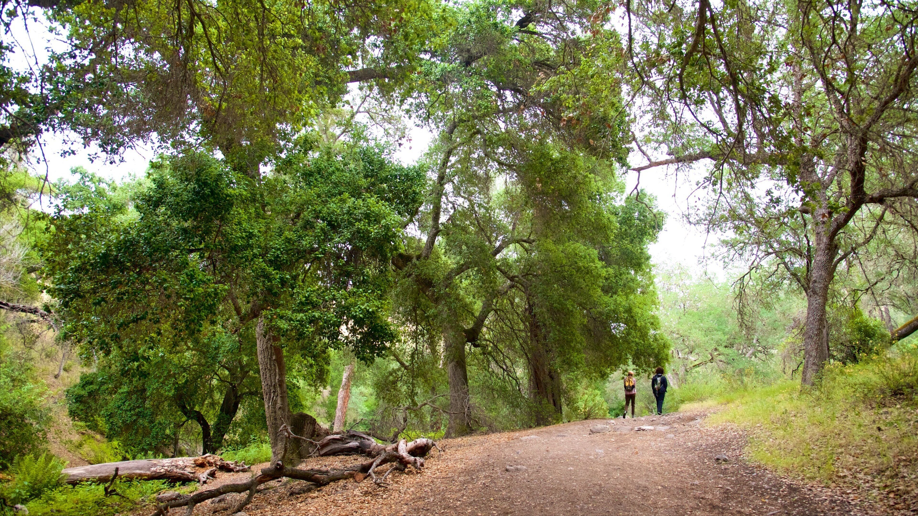 Bear Gulch Trail which includes a park as well as a couple