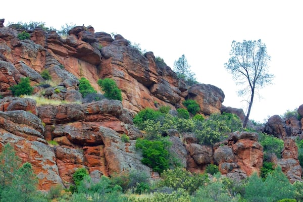 A rugged mountain landscape with reddish-brown rock formations, green vegetation, and a prominent tree.