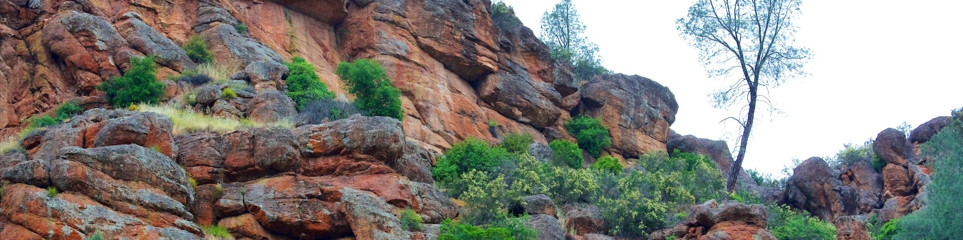 Pinnacles National Park