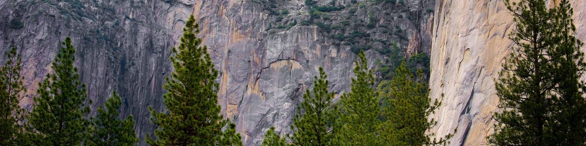 El Capitan Meadow which includes a gorge or canyon