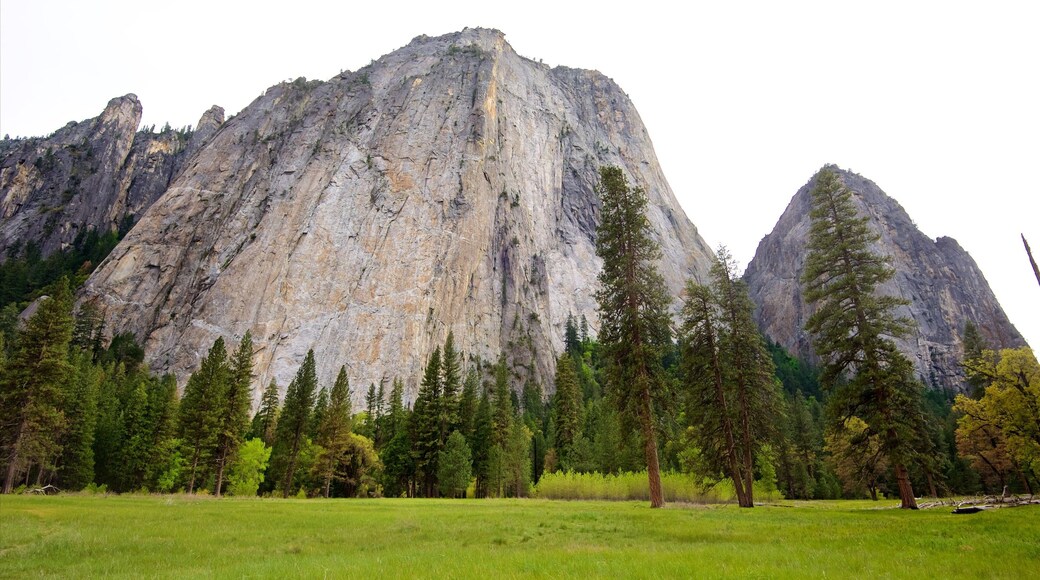 Yosemite National Park which includes landscape views, tranquil scenes and mountains