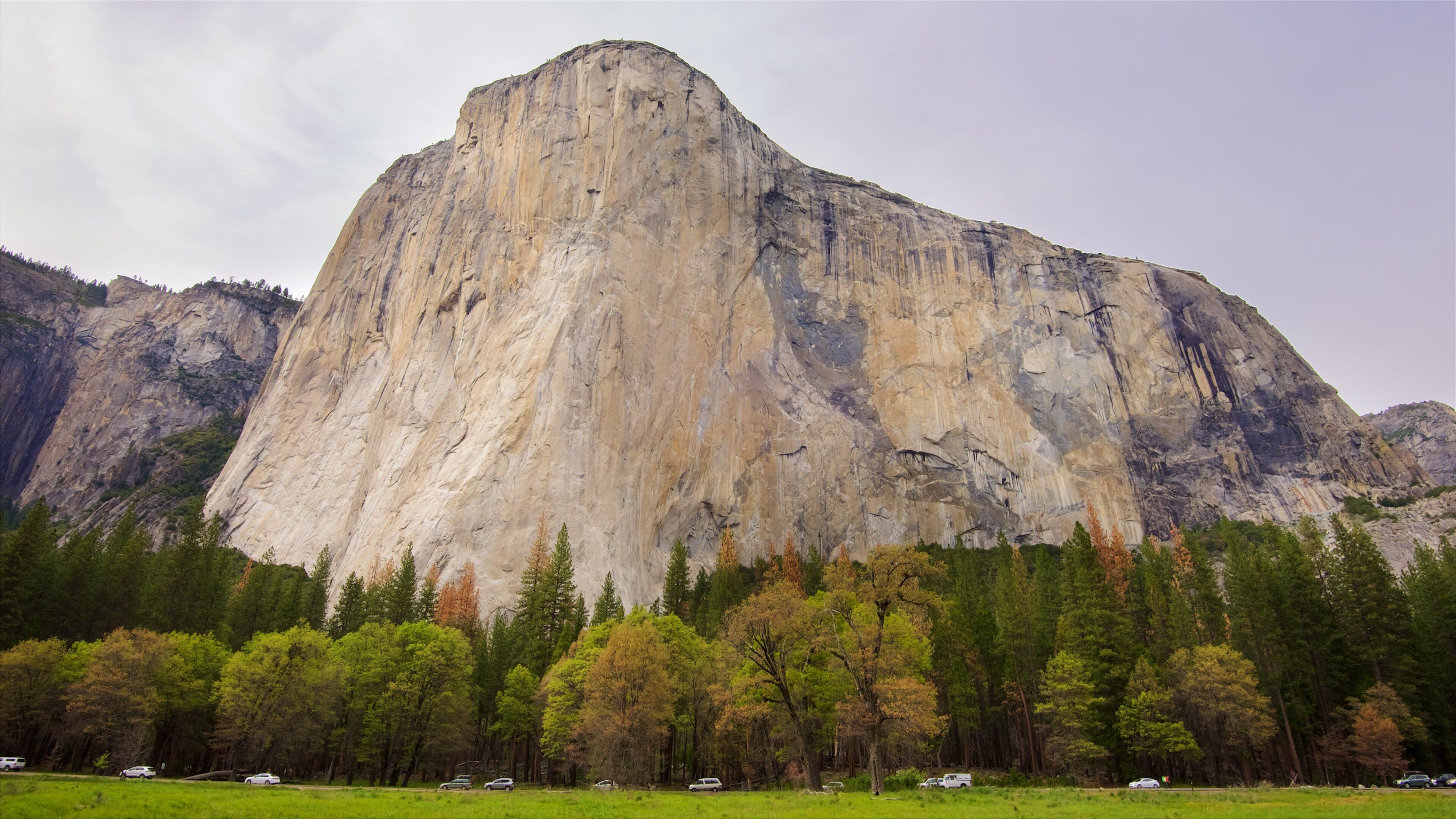 Parc national de Yosemite montrant scènes tranquilles et montagnes