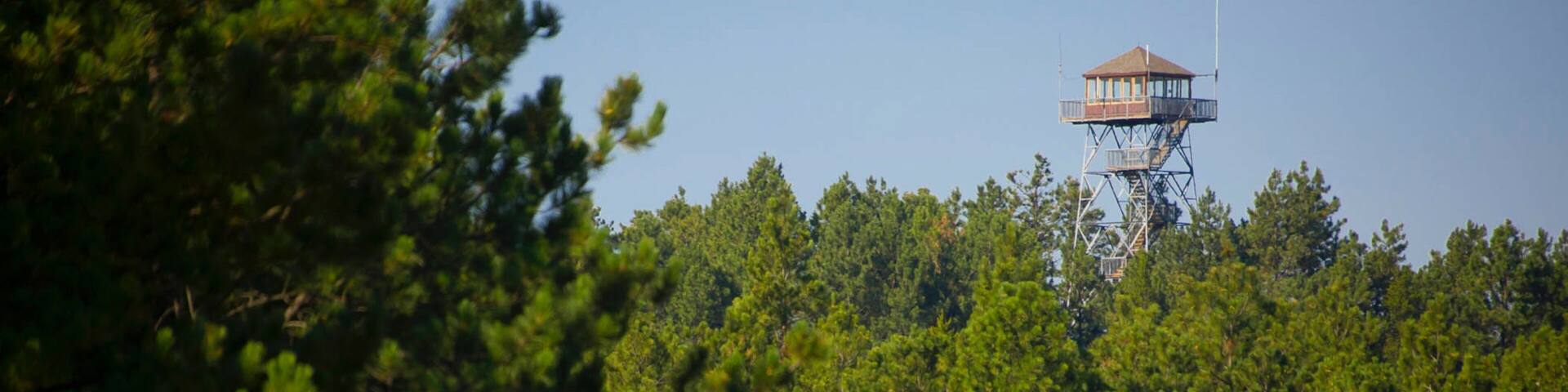 A lookout tower amidst dense forest.