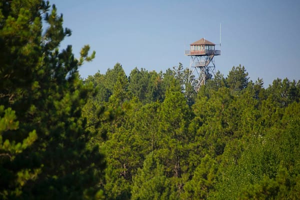 Ein Aussichtsturm inmitten dichtem Wald.