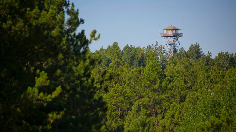 Nebraska National Forest which includes views and landscape views