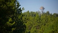 A lookout tower amidst dense forest.