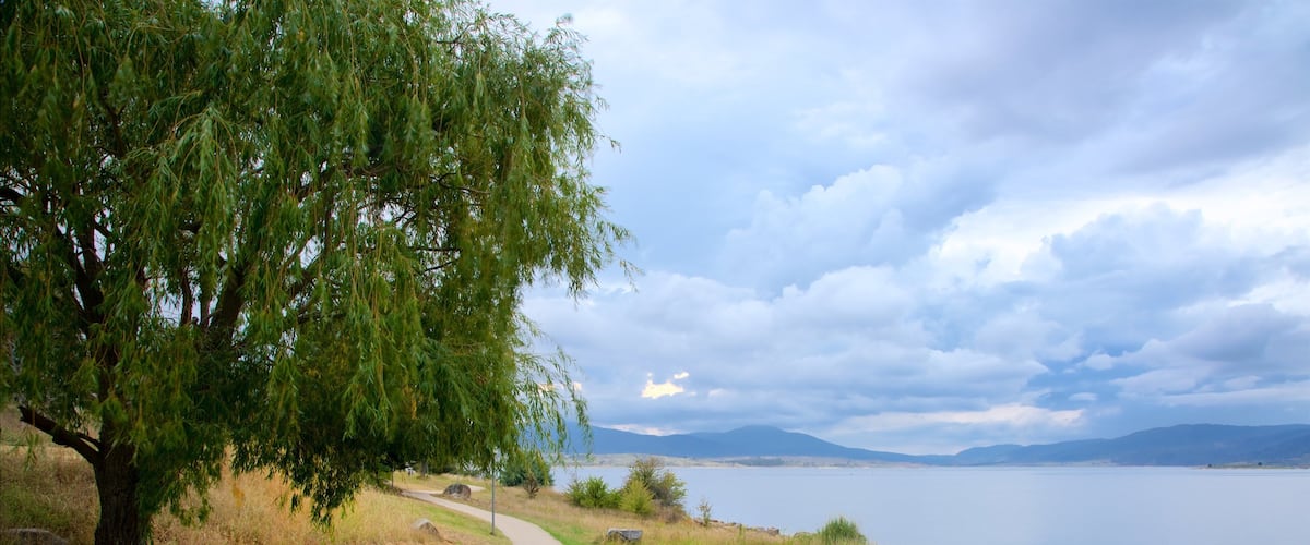 Lake Jindabyne featuring general coastal views