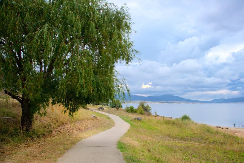 A winding path beside a lake with a willow tree on the left and mountains in the background.