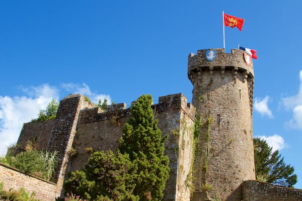 Un château de pierre historique, surmonté d’un drapeau, entouré d’arbres et se dressant sous un ciel bleu clair.