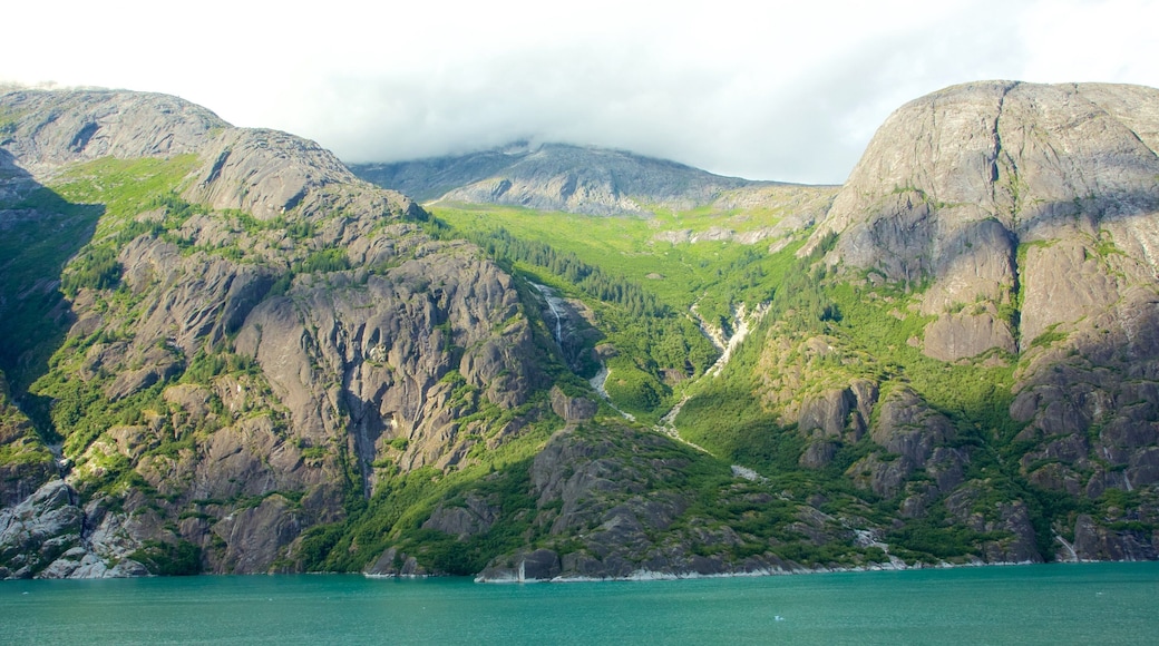 Tracy Arm featuring rugged coastline and general coastal views