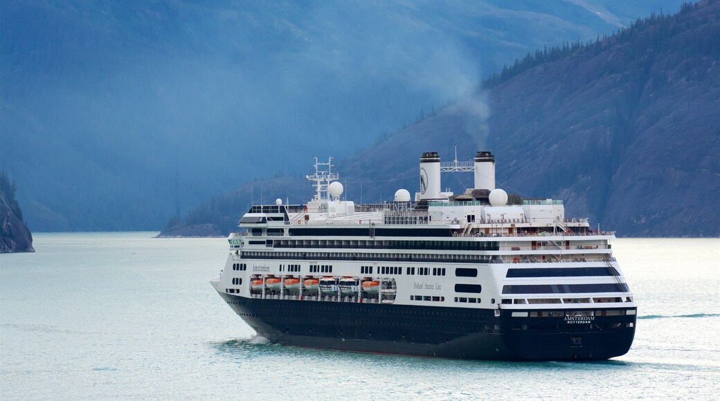 Tracy Arm showing a river or creek and cruising