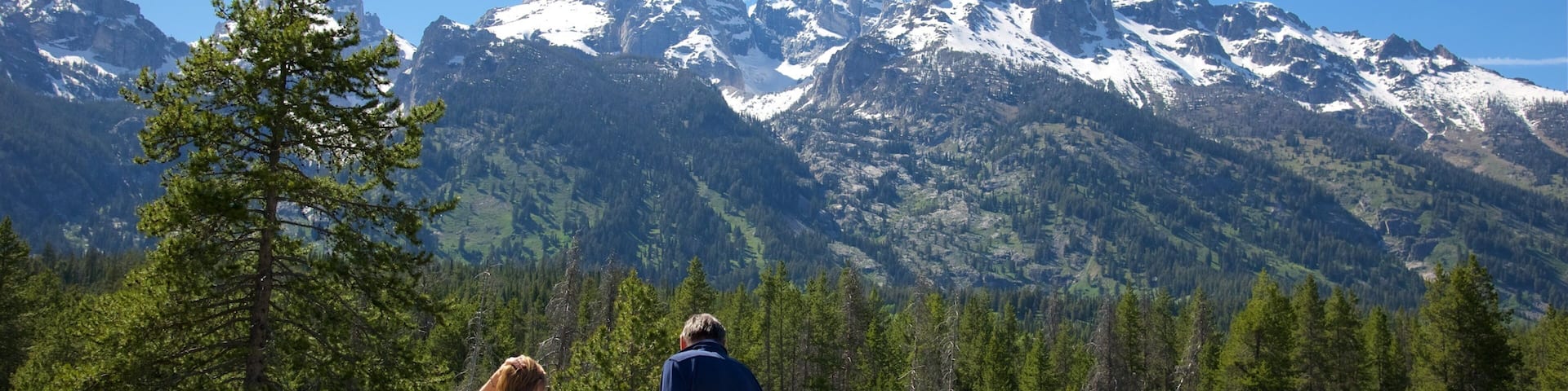 Teton Glacier Turnout showing mountains, signage and tranquil scenes