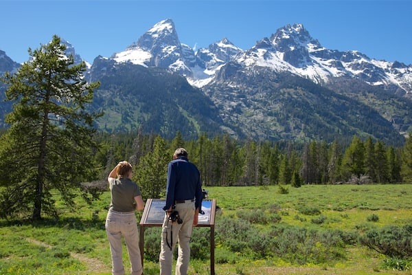 Teton Glacier Turnout showing mountains, signage and tranquil scenes
