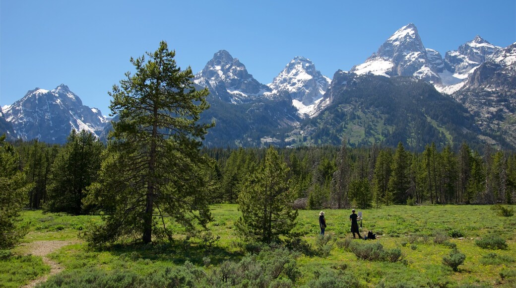 Grand Teton National Park which includes tranquil scenes, landscape views and mountains