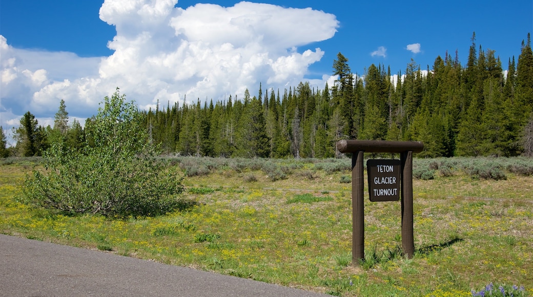 Grand Teton National Park featuring tranquil scenes, signage and landscape views