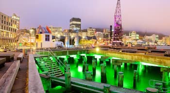 Wellington que incluye una bahía o un puerto, escenas nocturnas y una ciudad