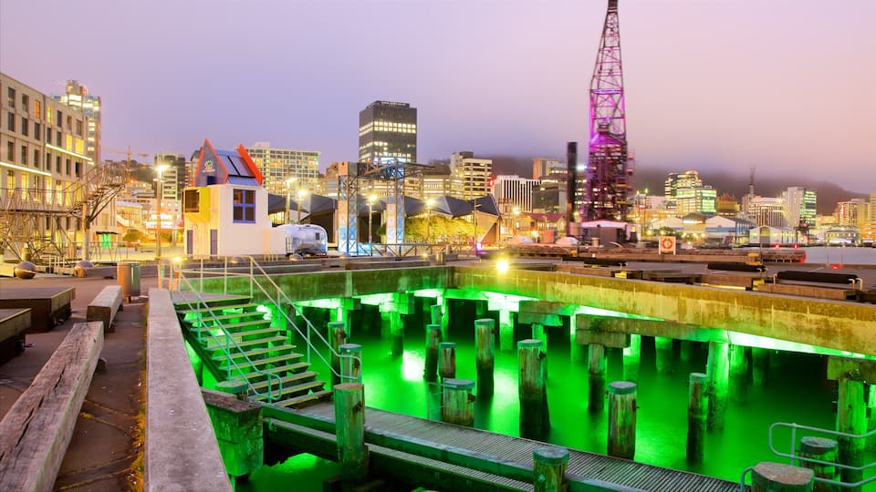 Wellington ofreciendo una bahía o un puerto, escenas de noche y una ciudad