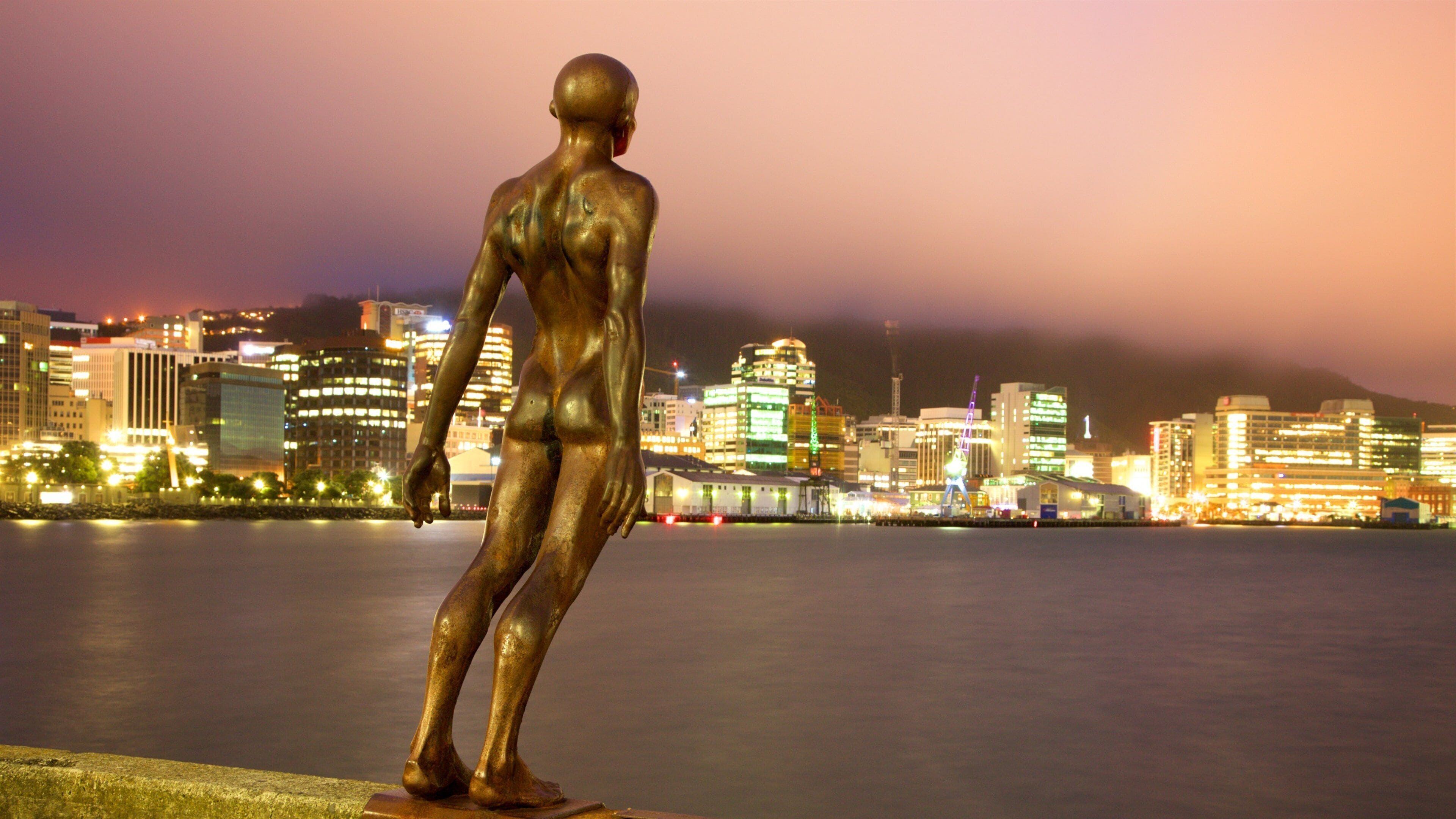 Wellington que incluye una ciudad, arte al aire libre y escenas de noche