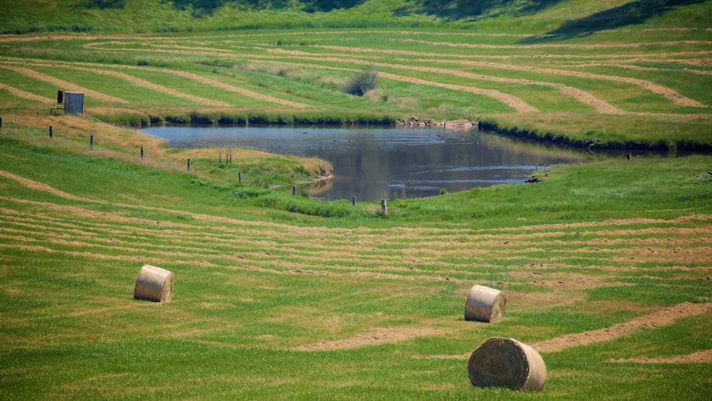 A lush green field with terraced hills, a pond, and hay bales.
