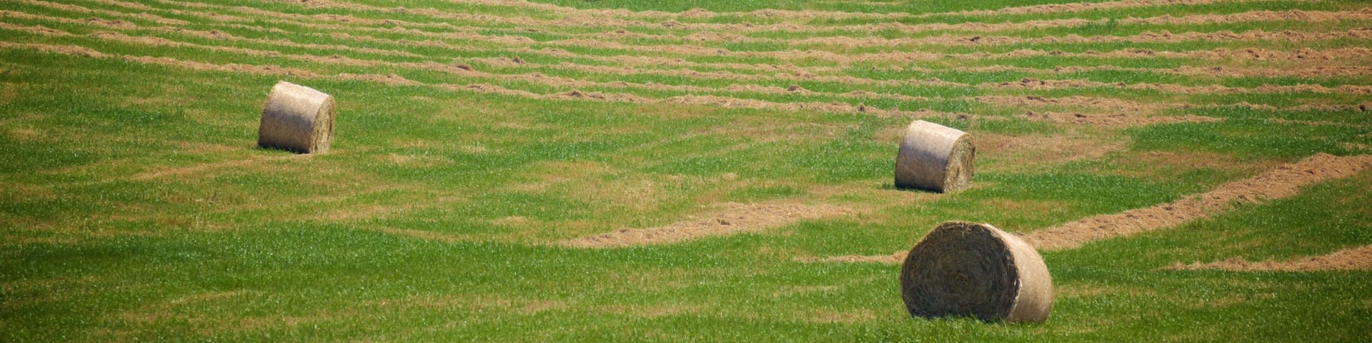 Western Australia mit einem See oder Wasserstelle und Farmland
