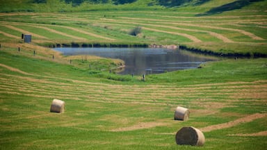 Australia Occidental que incluye un lago o abrevadero y tierras de cultivo