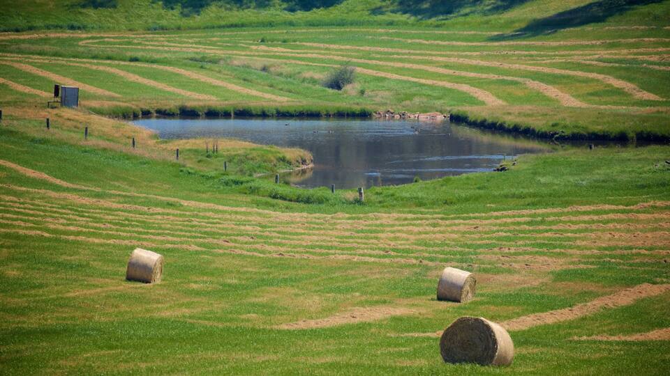 A lush green field with terraced hills, a pond, and hay bales.