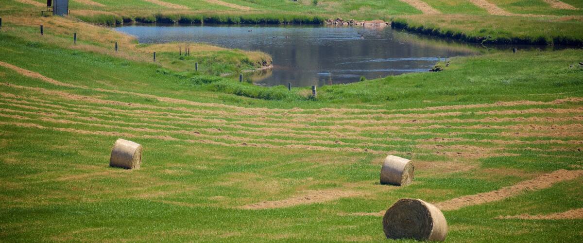A lush green field with terraced hills, a pond, and hay bales.