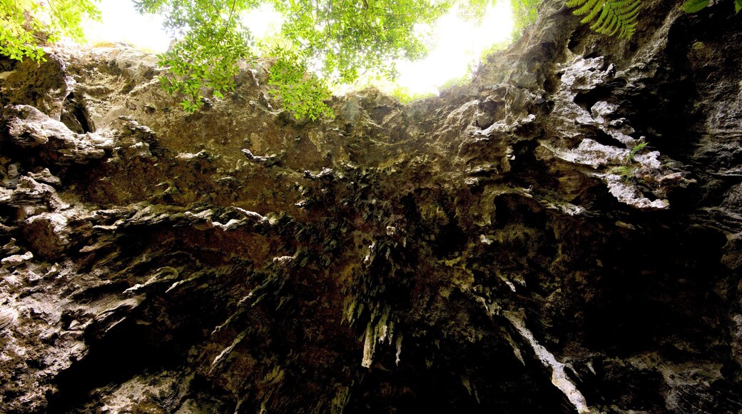 Isle of Pines mostrando cuevas