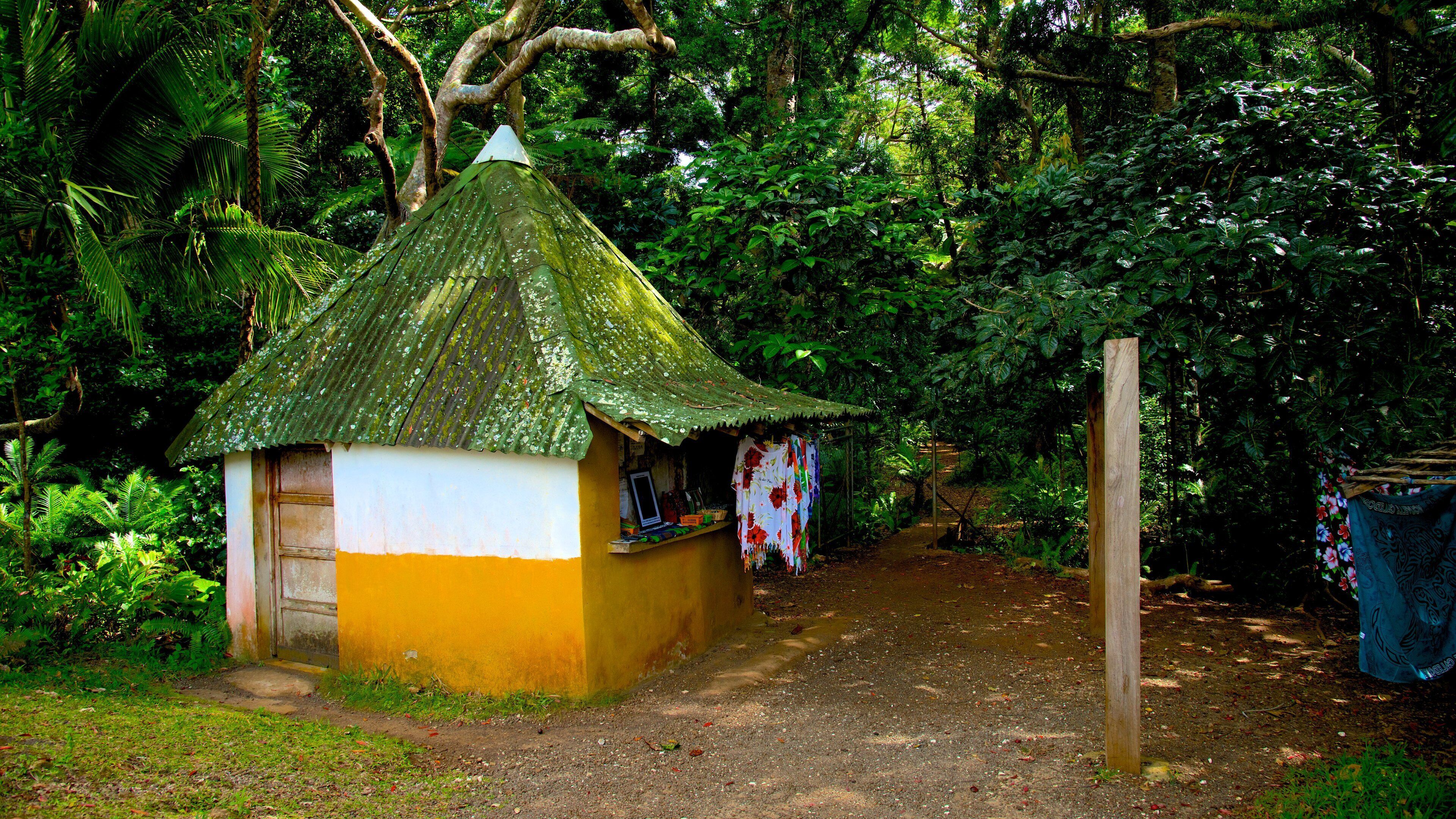 Ile Des Pins toont tropische uitzichten en een klein stadje of dorpje