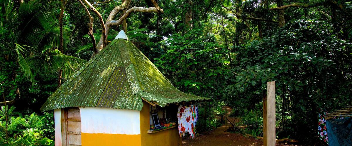 Isle of Pines which includes a small town or village and tropical scenes