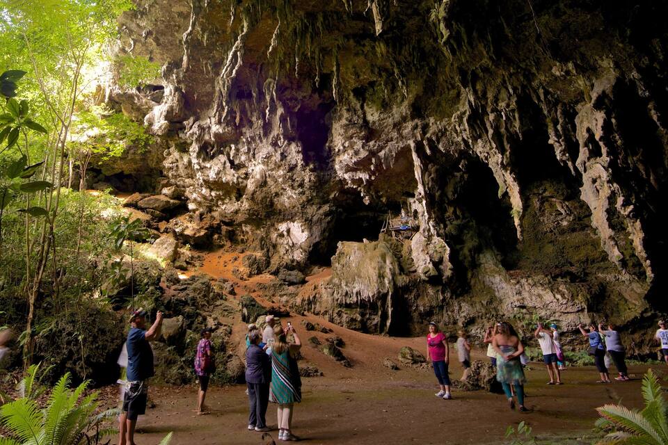 A cave entrance with stalactites, surrounded by lush greenery.