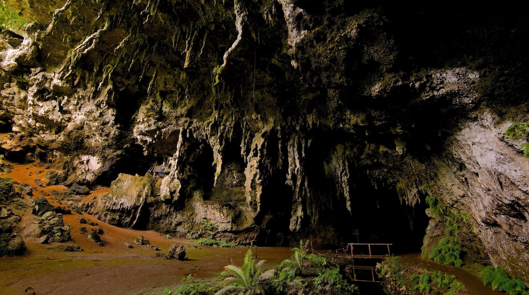 Isle of Pines johon kuuluu luolat