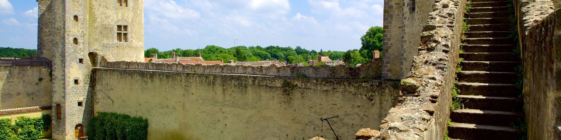 Melun which includes a castle and heritage elements
