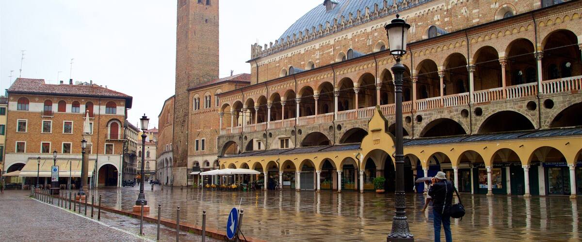 Padua que incluye elementos patrimoniales, una ciudad y una plaza