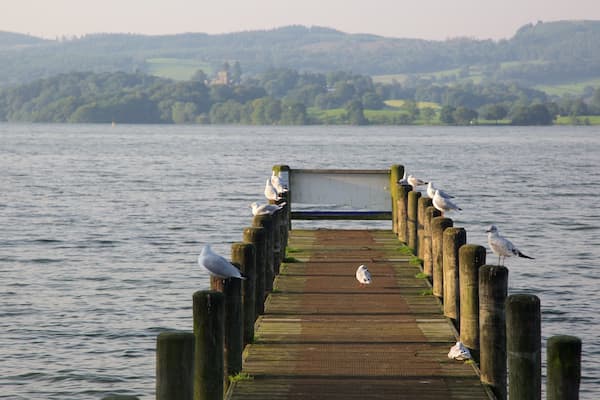 Un muelle de madera que se adentra en un lago tranquilo, con gaviotas posadas sobre los pilotes.
