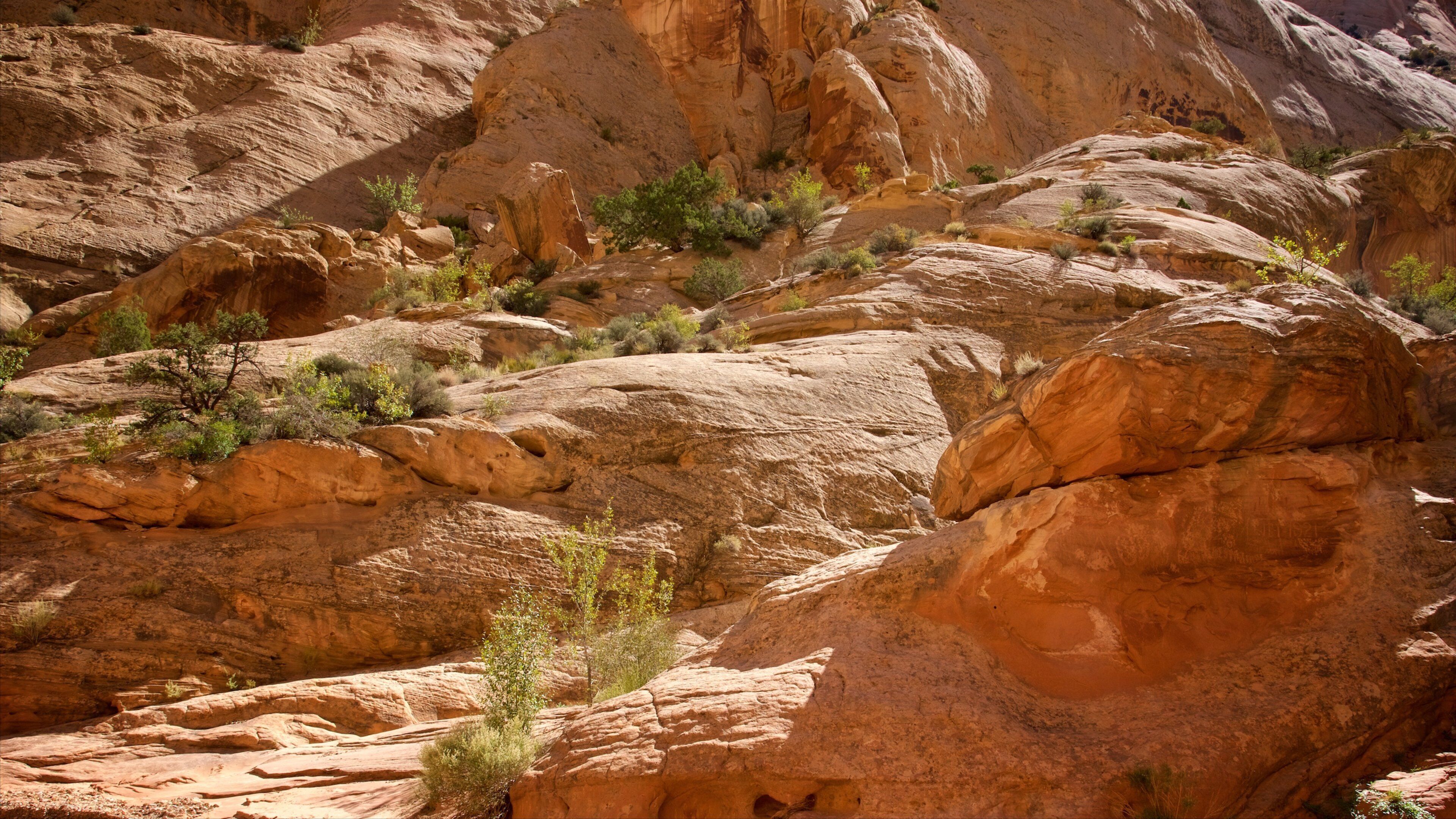 Capitol Gorge featuring a gorge or canyon
