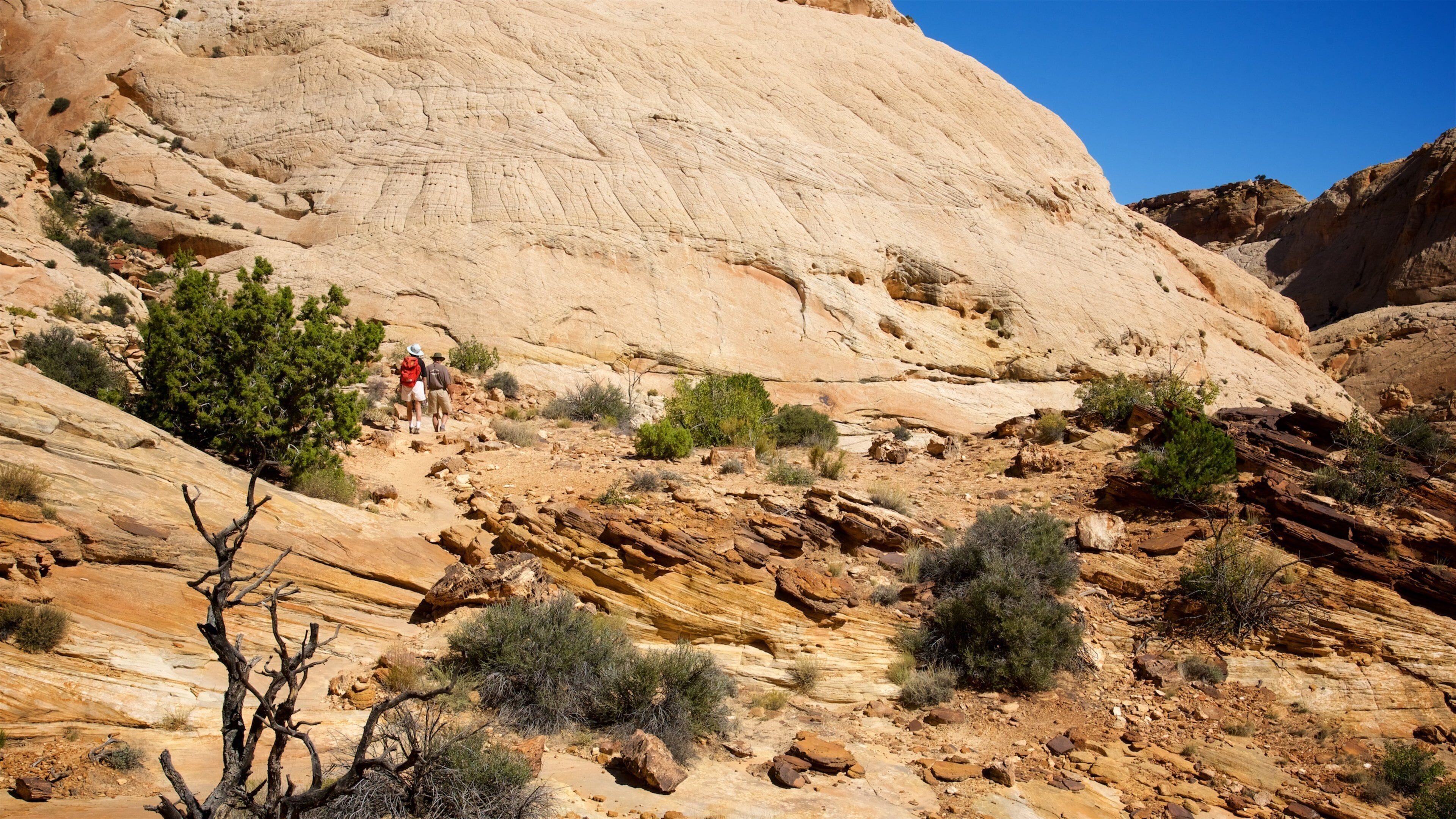Capitol Gorge featuring hiking or walking and a gorge or canyon as well as a couple
