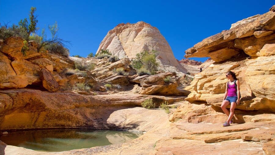 Capitol Reef National Park featuring desert views, tranquil scenes and a gorge or canyon