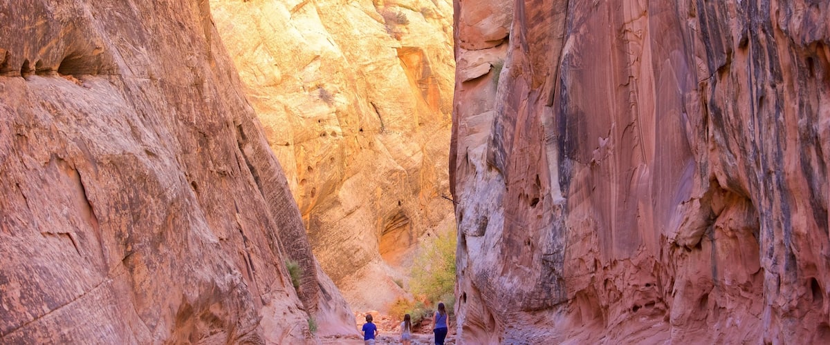 Capitol Gorge which includes tranquil scenes, a gorge or canyon and desert views