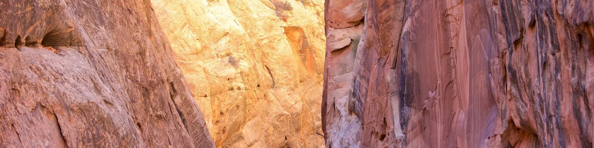 Capitol Gorge which includes tranquil scenes, a gorge or canyon and desert views