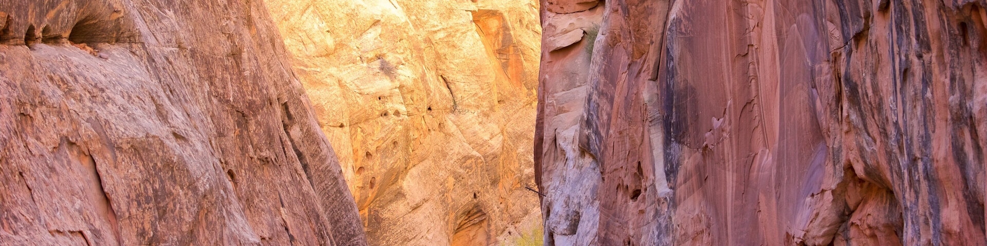 Capitol Gorge which includes tranquil scenes, a gorge or canyon and desert views