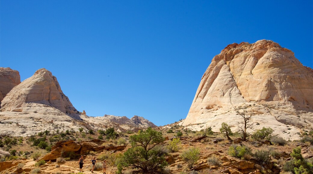 Capitol Reef National Park showing tranquil scenes, desert views and a gorge or canyon