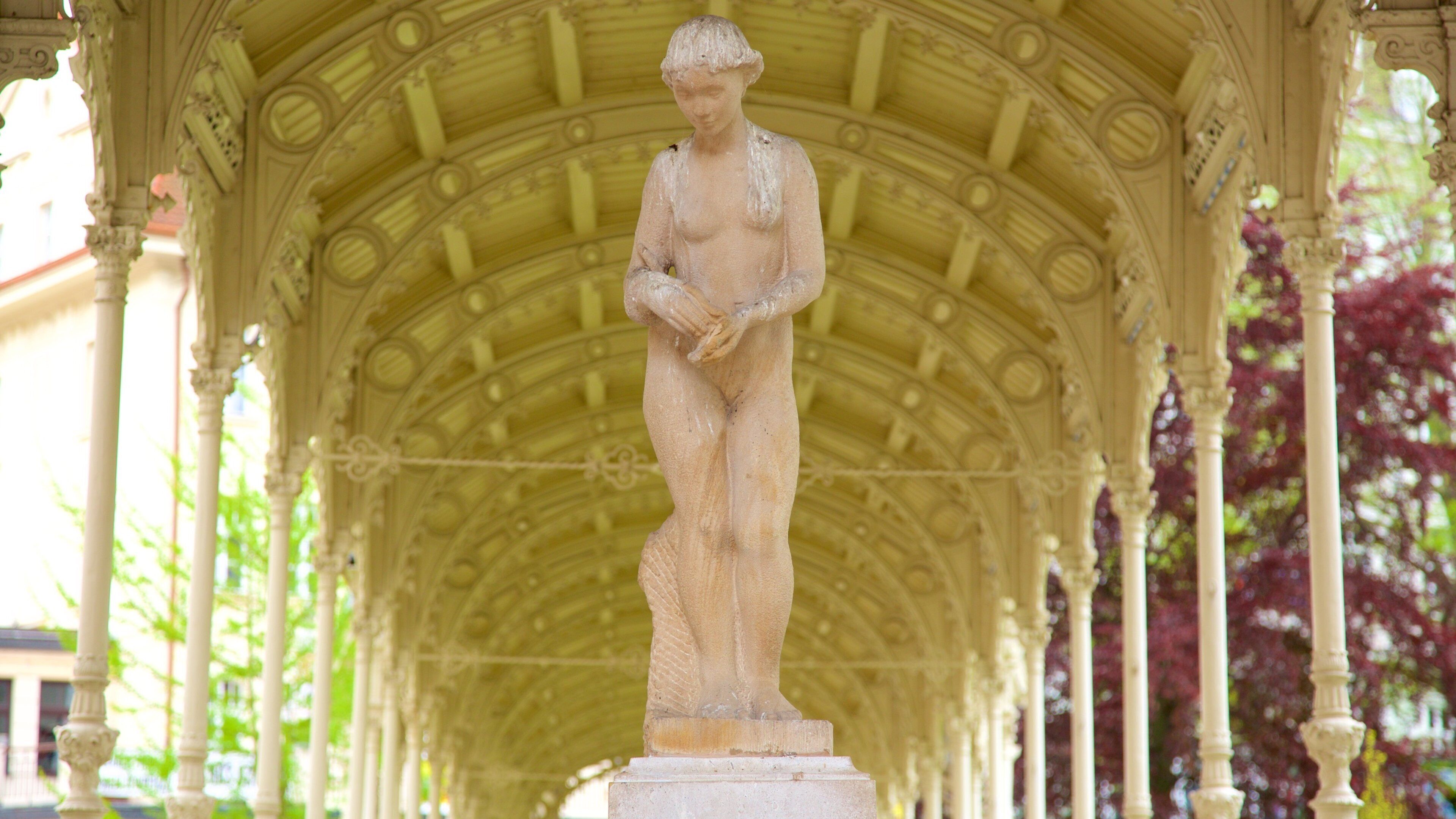 Karlovy Vary toont een standbeeld of beeldhouwwerk