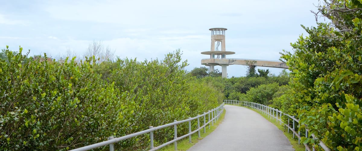 Shark Valley Observatory Tower which includes a park and an observatory