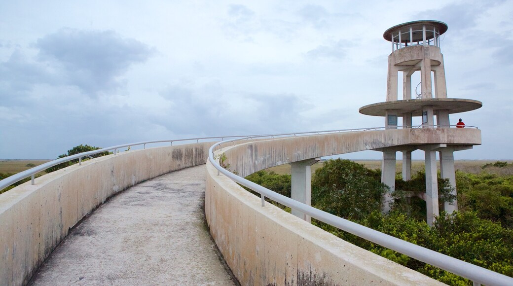 Kaakkois-Florida johon kuuluu silta
