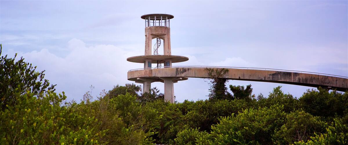 Shark Valley Observatory Tower showing an observatory and a garden